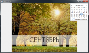 Отчёт от 20075 за Демо софт / Двенадцать месяцев