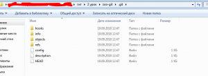 Отчёт от 20082 за Система Git / git init