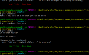 Отчёт от 20082 за Система Git / git add checkout