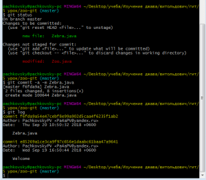 Отчёт от 20082 за Система Git / git commit zebra