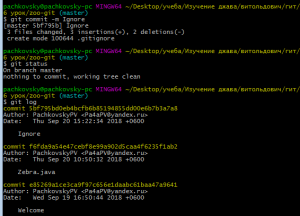 Отчёт от 20082 за Система Git / git ignore
