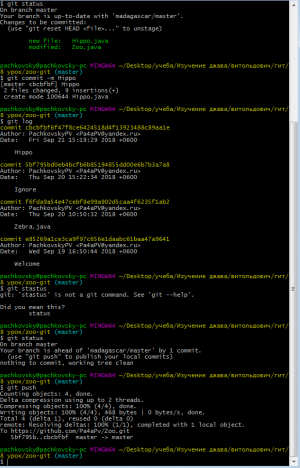 Отчёт от 20082 за Система Git / hippo git fetch pull