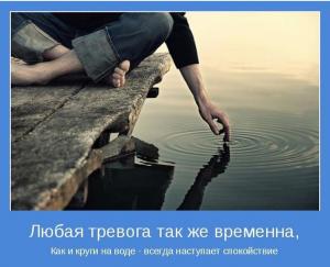 Отчёт от 20111 за Бинарная жизнь / Смысл жизни