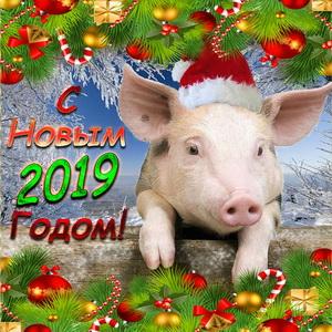 Отчёт от 20433 за Демо игры / С# Новым годом!
