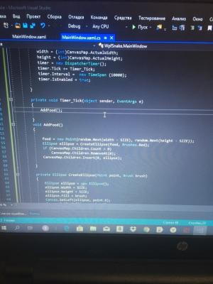 Отчёт от 20537 за Простой WPF  / WPF. Простая змейка. Таймер для еды.
