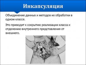 Отчёт от 20619 за Теория ООП / Инкапсуляция мечты