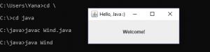 Отчёт от 20893 за J2. Печать / WRITE - Окно JFrame
