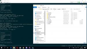 Отчёт от 21090 за SQL: ничего лишнего / Запуск mysql-консоли и создание базы данных