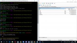 Отчёт от 21090 за Система Git / git push clone