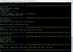 Отчёт от 21090 за Система Git / hippo git fetch pull