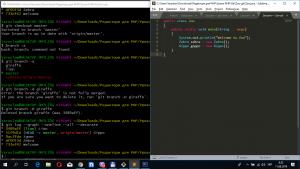 Отчёт от 21090 за Система Git / git branch lion