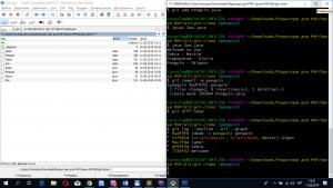 Отчёт от 21090 за Система Git / pingwin