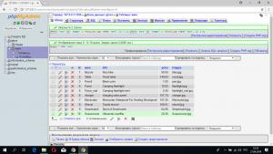 Отчёт от 21090 за Интернет-магазин / phpMyAdmin