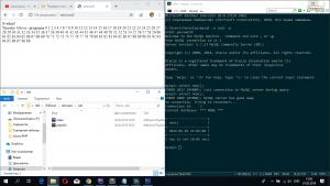 Отчёт от 21090 за Интернет-магазин / Всё готово для работы