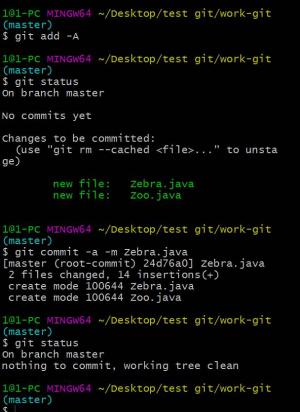 Отчёт от 2146 за Система Git / git commit zebra
