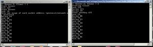 Отчёт от 2146 за Игры со Спрайтами / VIP урок. Телефон по TCP/IP протоколу