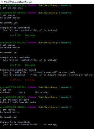 Отчёт от 21543 за Система Git / git add checkout