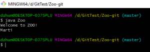 Отчёт от 21543 за Система Git / git ignore