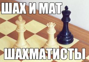 Отчёт от 21544 за Шахматы по сети / Алгоритмы. Шах и Мат!