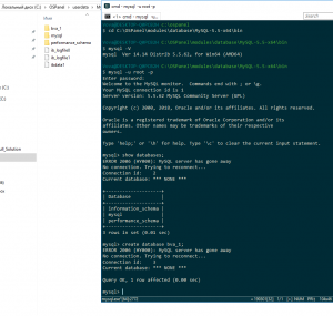 Отчёт от 21714 за SQL: ничего лишнего / Запуск mysql-консоли и создание базы данных