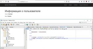 Отчёт от 21753 за Доска объявлений / MVC - информация о пользователе