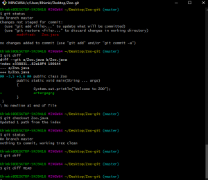 Отчёт от 22133 за Система Git / git commit reset diff