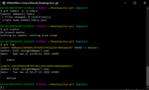 Отчёт от 22133 за Система Git / git commit zebra