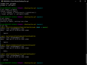 Отчёт от 22133 за Система Git / git ignore