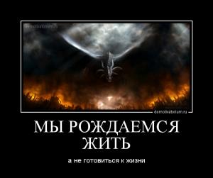 Отчёт от 2353 за Бинарная жизнь / Смысл жизни