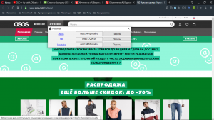 Отчёт от 24112 за Демо софт / Менеджер паролей