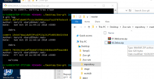 Отчёт от 2457 за Система Git / git commit zebra