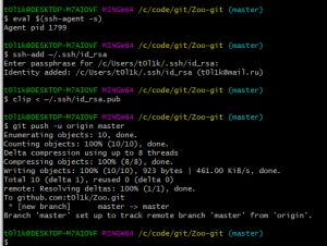 Отчёт от 24765 за Система Git / git push clone