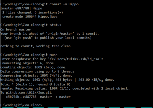 Отчёт от 24765 за Система Git / hippo git fetch pull