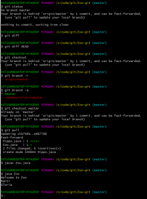 Отчёт от 24765 за Система Git / hippo git fetch pull