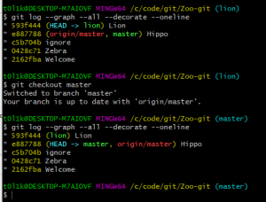 Отчёт от 24765 за Система Git / git branch lion