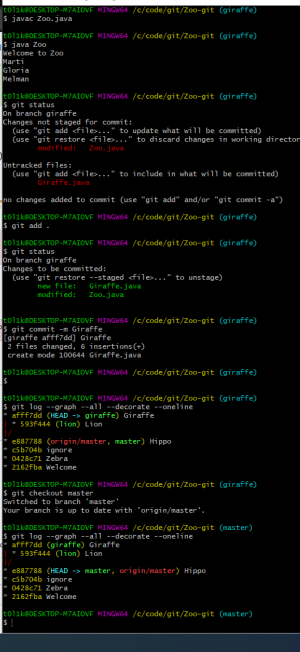 Отчёт от 24765 за Система Git / git branch giraffe