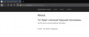 Отчёт от 24765 за Базовый ASP.ект / Выбор темы для проекта