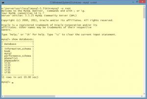 Отчёт от 2508 за Базовый ASP.ект / Установка сервера MySQL