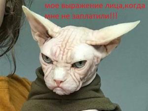 25392. Татьяна