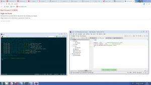 Отчёт от 2670 за Yii2 / Composer - Установка пустоты