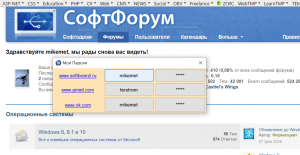 Отчёт от 2721 за Демо софт / Менеджер паролей