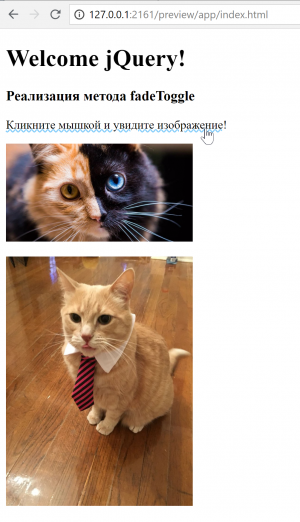 Отчёт от 2773 за Знакомство с jQuery / Эффекты появления и исчезновения