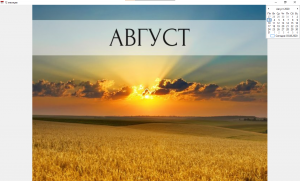 Отчёт от 28028 за Демо софт / Двенадцать месяцев
