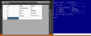 Отчёт от 2824 за Новые технологии / VIP урок. C# + MySQL через DataSet