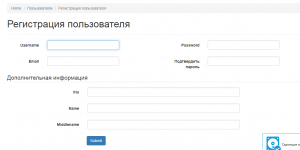 Отчёт от 28410 за Доска объявлений / Новый пользователь - дизайн формы: поля и колонки