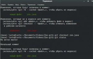 Отчёт от 29095 за Система Git / git add checkout
