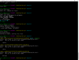 Отчёт от 30187 за Система Git / git ignore
