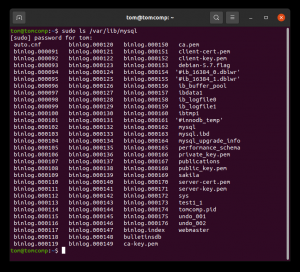 Отчёт от 30514 за SQL: ничего лишнего / Запуск mysql-консоли и создание базы данных