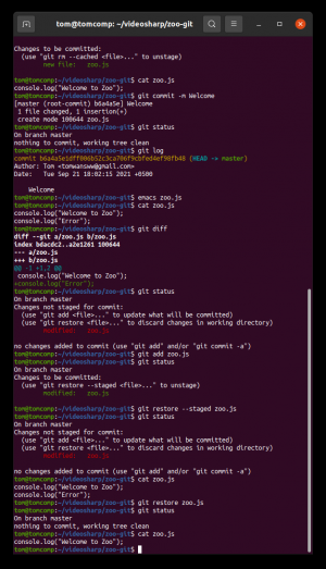 Отчёт от 30514 за Система Git / git commit reset diff