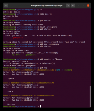 Отчёт от 30514 за Система Git / git ignore